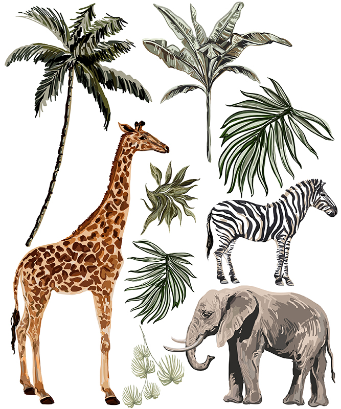 Savana komplet